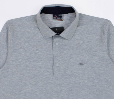 CEGISA 4267 Поло (кнопки) фото