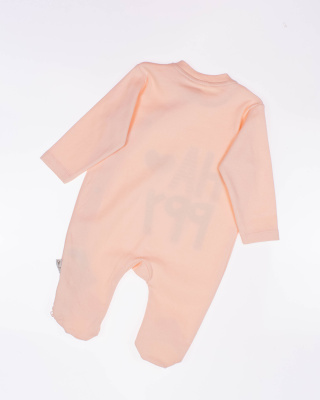 2024_01_17_0083357 2024_01_17_0083357