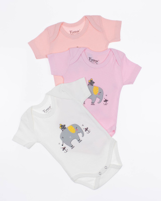 2024_01_24_0083950 2024_01_24_0083950