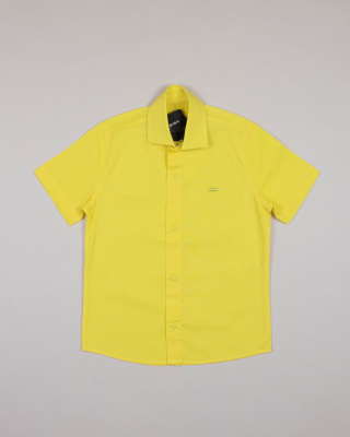 CEGISA 4445 Рубашка (кнопки) (цвет: Желтый) CEGISA 4445 Рубашка (кнопки) (цвет: Желтый)